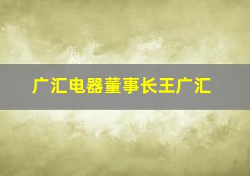 广汇电器董事长王广汇