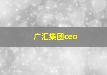 广汇集团ceo