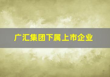 广汇集团下属上市企业