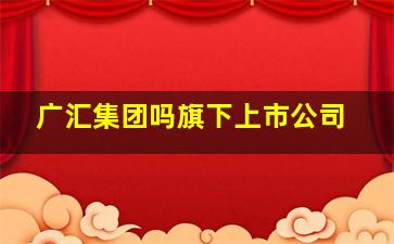 广汇集团吗旗下上市公司