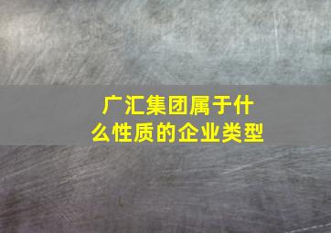 广汇集团属于什么性质的企业类型