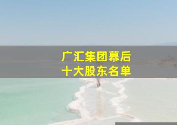 广汇集团幕后十大股东名单