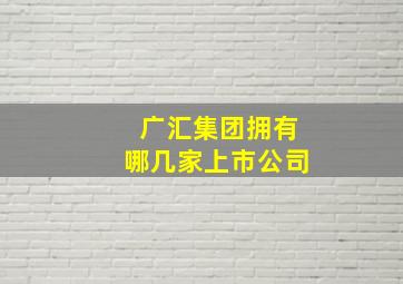 广汇集团拥有哪几家上市公司