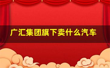 广汇集团旗下卖什么汽车