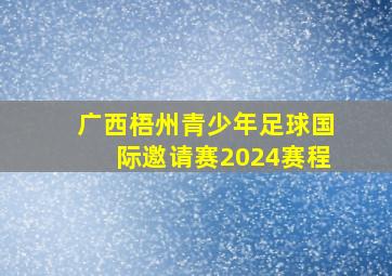 广西梧州青少年足球国际邀请赛2024赛程