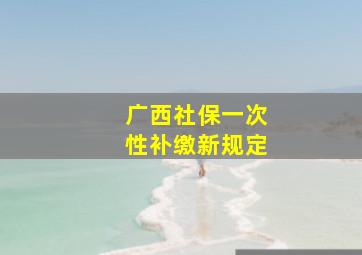 广西社保一次性补缴新规定