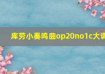 库劳小奏鸣曲op20no1c大调