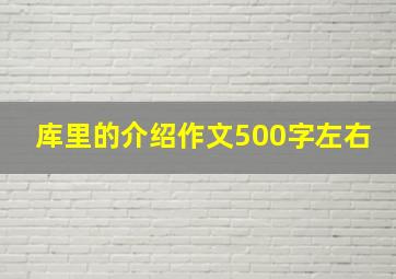 库里的介绍作文500字左右