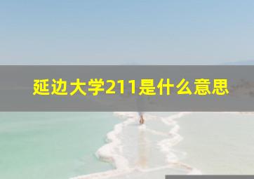 延边大学211是什么意思