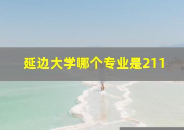 延边大学哪个专业是211