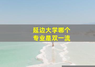 延边大学哪个专业是双一流