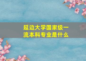 延边大学国家级一流本科专业是什么