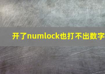 开了numlock也打不出数字