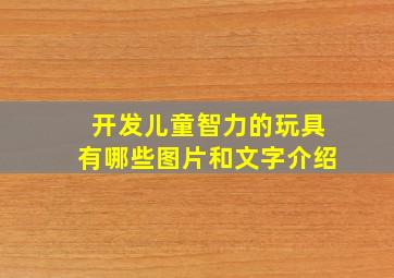 开发儿童智力的玩具有哪些图片和文字介绍