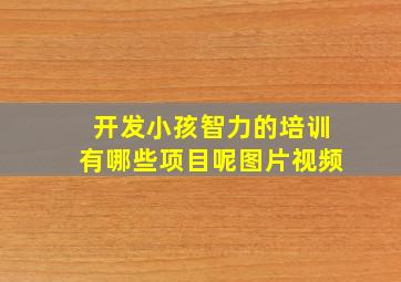 开发小孩智力的培训有哪些项目呢图片视频