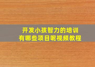 开发小孩智力的培训有哪些项目呢视频教程