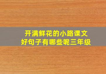 开满鲜花的小路课文好句子有哪些呢三年级