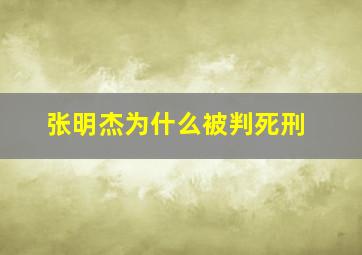 张明杰为什么被判死刑