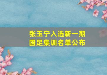 张玉宁入选新一期国足集训名单公布