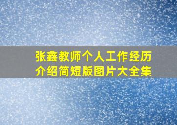 张鑫教师个人工作经历介绍简短版图片大全集