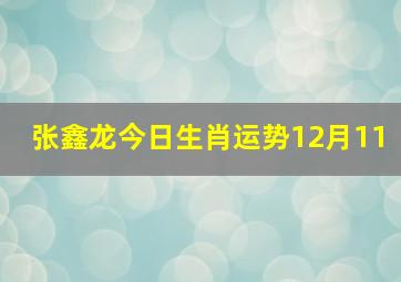 张鑫龙今日生肖运势12月11