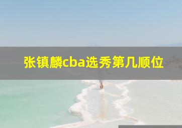 张镇麟cba选秀第几顺位