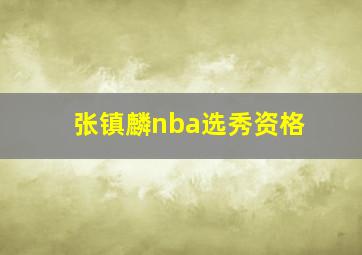 张镇麟nba选秀资格