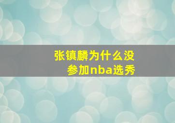 张镇麟为什么没参加nba选秀