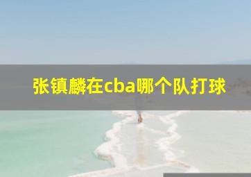 张镇麟在cba哪个队打球