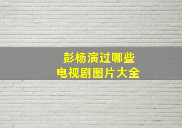 彭杨演过哪些电视剧图片大全