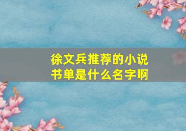 徐文兵推荐的小说书单是什么名字啊