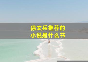 徐文兵推荐的小说是什么书