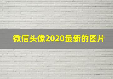 微信头像2020最新的图片