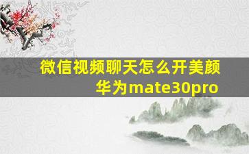 微信视频聊天怎么开美颜华为mate30pro