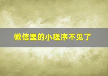 微信里的小程序不见了