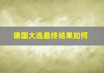 德国大选最终结果如何