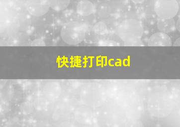 快捷打印cad