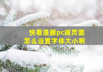 快看漫画pc端页面怎么设置字体大小啊