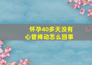 怀孕40多天没有心管搏动怎么回事