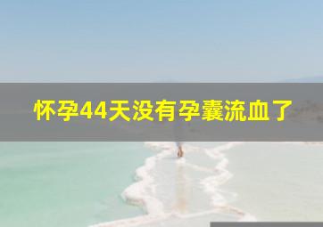 怀孕44天没有孕囊流血了