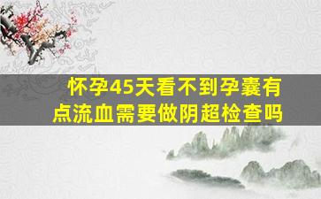 怀孕45天看不到孕囊有点流血需要做阴超检查吗