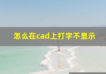 怎么在cad上打字不显示