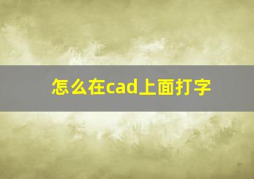 怎么在cad上面打字