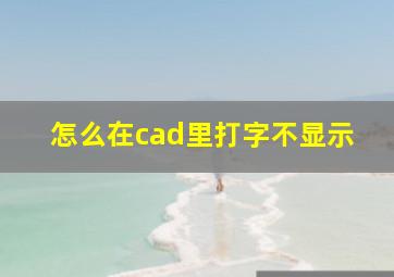 怎么在cad里打字不显示