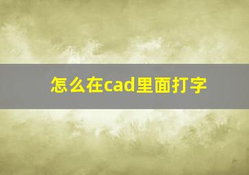 怎么在cad里面打字