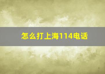 怎么打上海114电话