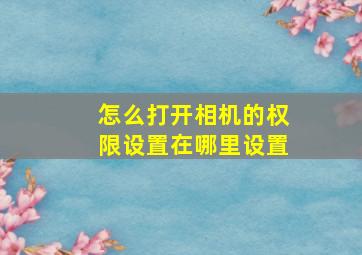 怎么打开相机的权限设置在哪里设置