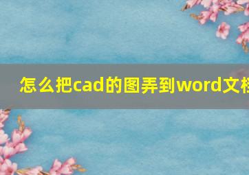 怎么把cad的图弄到word文档