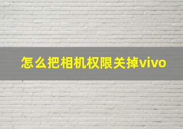 怎么把相机权限关掉vivo