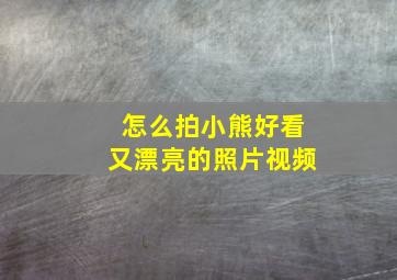 怎么拍小熊好看又漂亮的照片视频